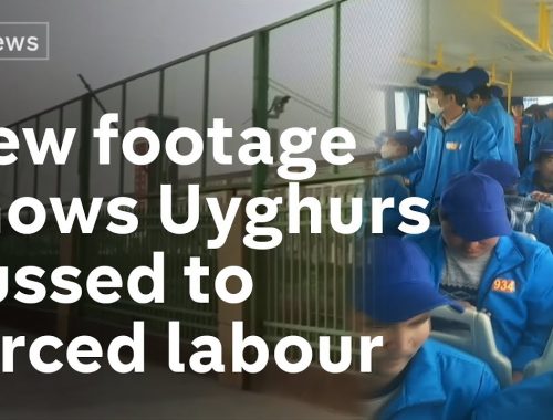 New footage shows Uyghurs bussed across China for forced labour in factories